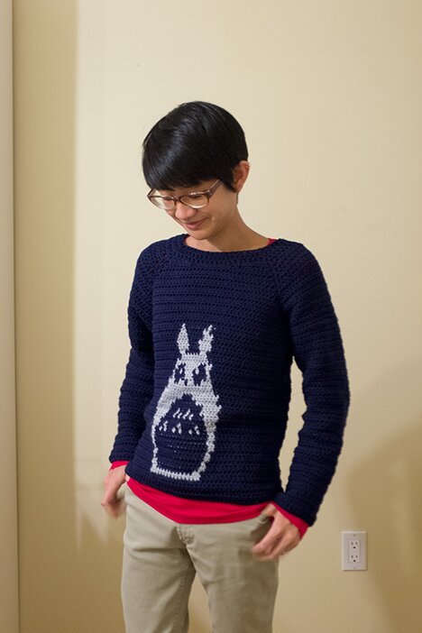 Totoro sweater